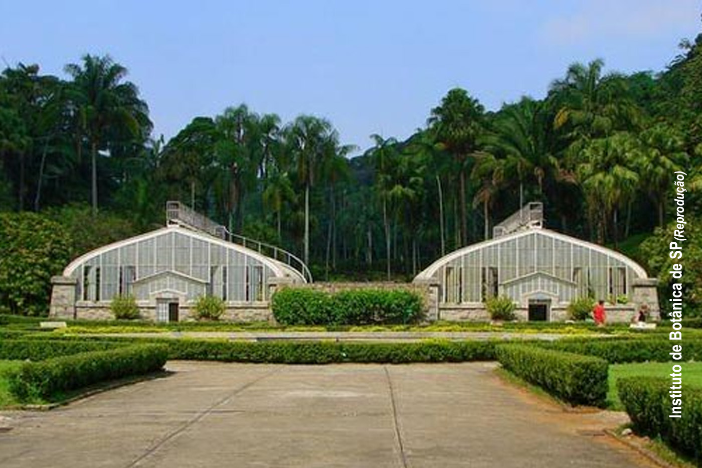 Justiça retira da Fundação Florestal pesquisas ambientais de SP. Decisão é vista como avanço por entidades representativas dos pesquisadores