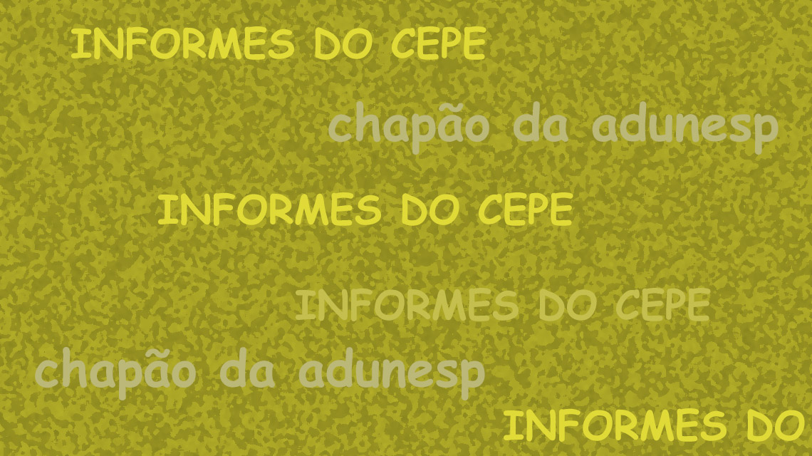 Chapão da Adunesp informa: Saiba o que foi discutido e deliberado no CEPE em 13/10